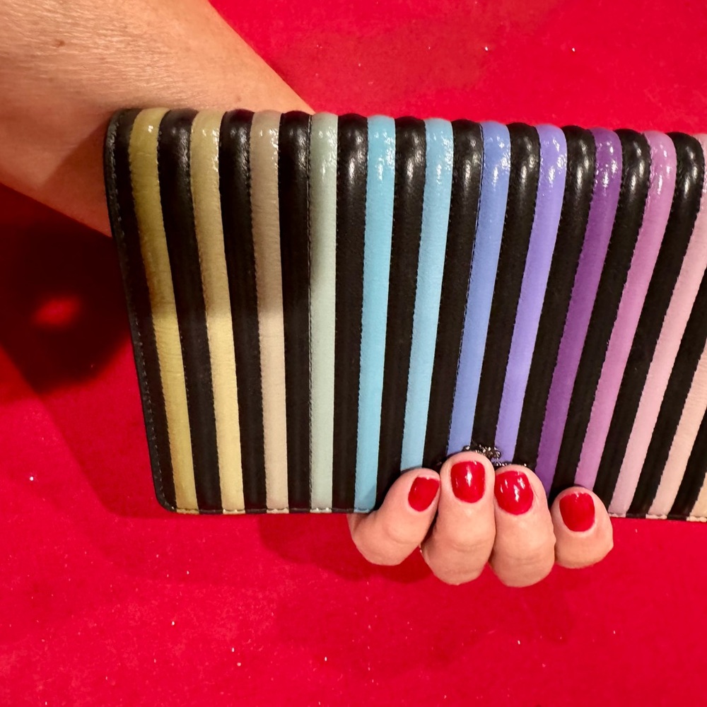 Colorful Striped small purse